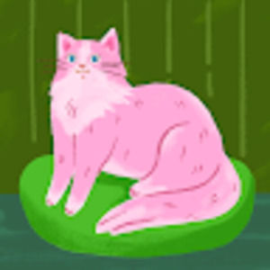 Meet your Posher, Keyshee